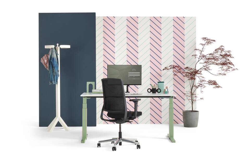 TMNL, ZINN, GRIP, Dombo, Dukdalf   landscapem