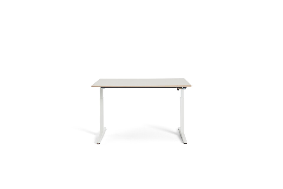 Thuiswerkbureau   landscapem