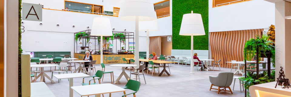 Reinier Haga Orthopedisch Centrum (RHOC)   landscapem