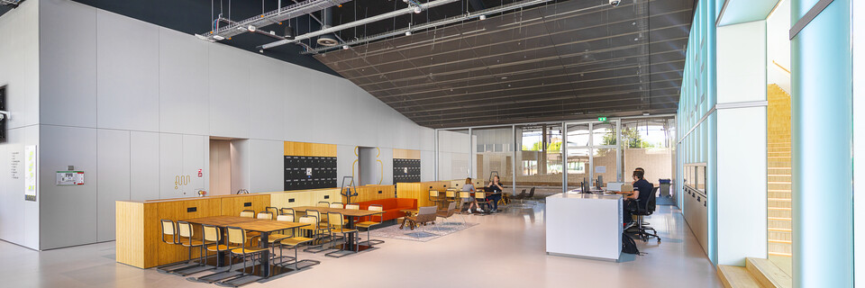 TU Delft Pulse   landscapem