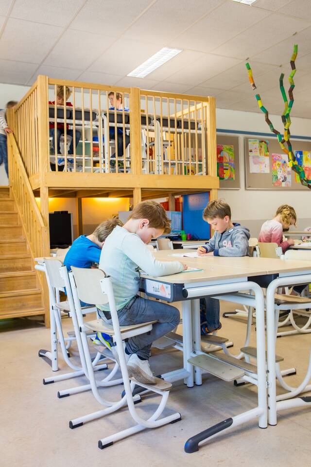 BS Dommelrode   portraitxl