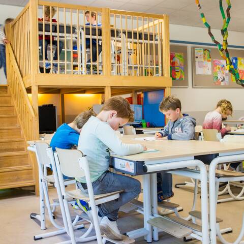 BS Dommelrode   squarexl