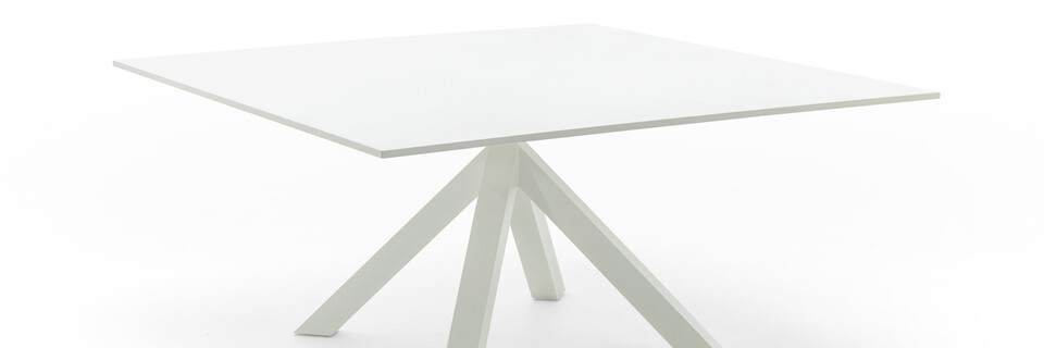 Dukdalf   landscapexl