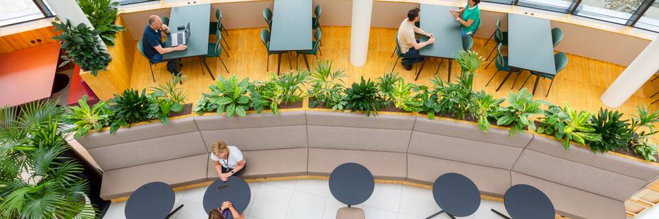 Royal FloraHolland   landscapem