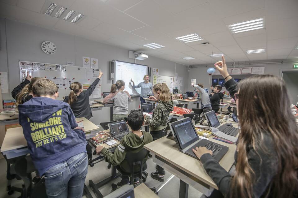 De Vlinderboom   landscapexl