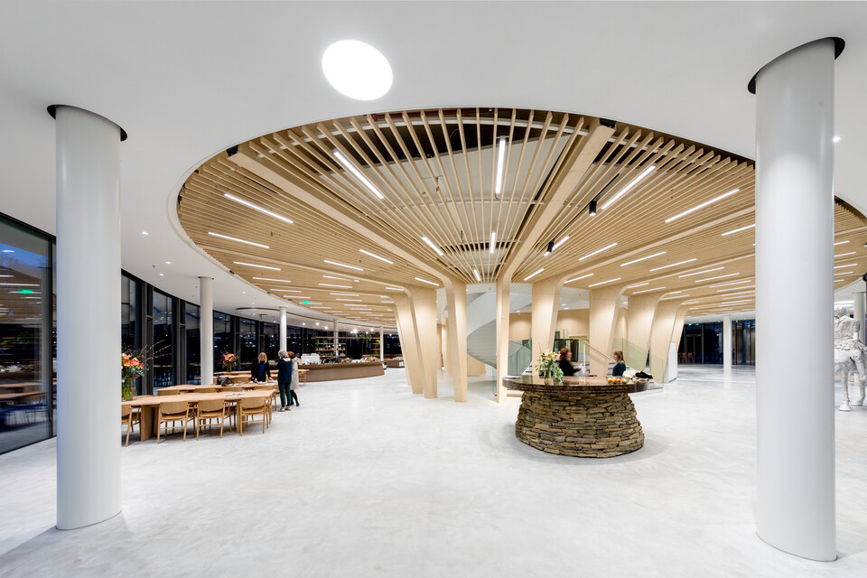 Triodos Bank   landscapem