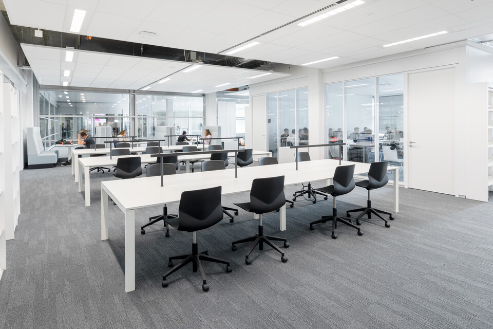 Fontys Nexus   landscapem