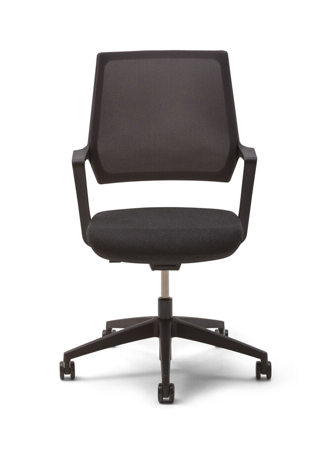 ZINN Multi   portraitm