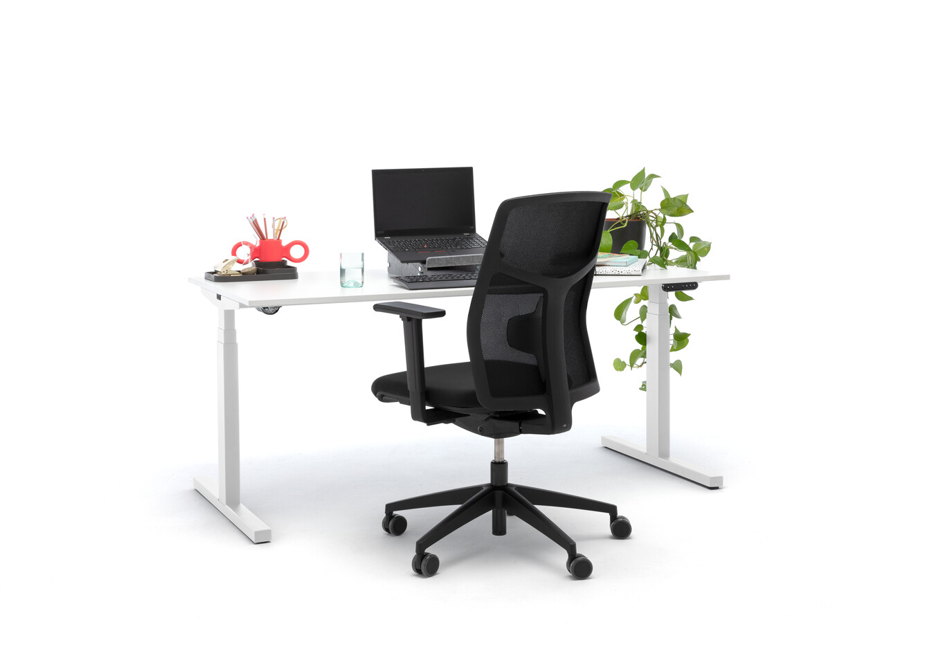 Home, Zest, Dombo Home, Zest, Dombo landscapem