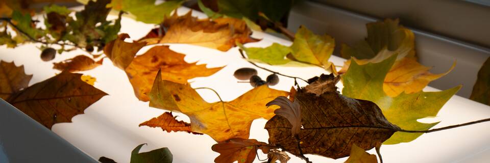 Presikhaaf Schoolmeubelen Discovery table sfeer