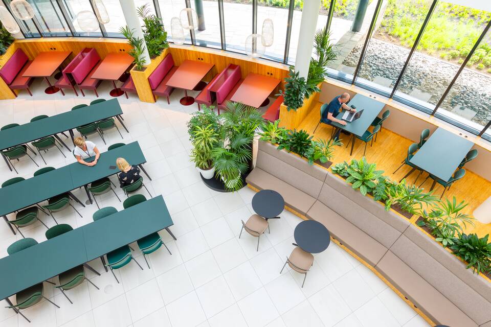 Royal FloraHolland   thumbnail