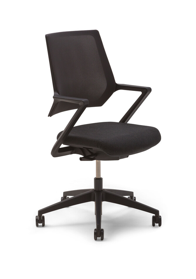 ZINN Multi   portraitm