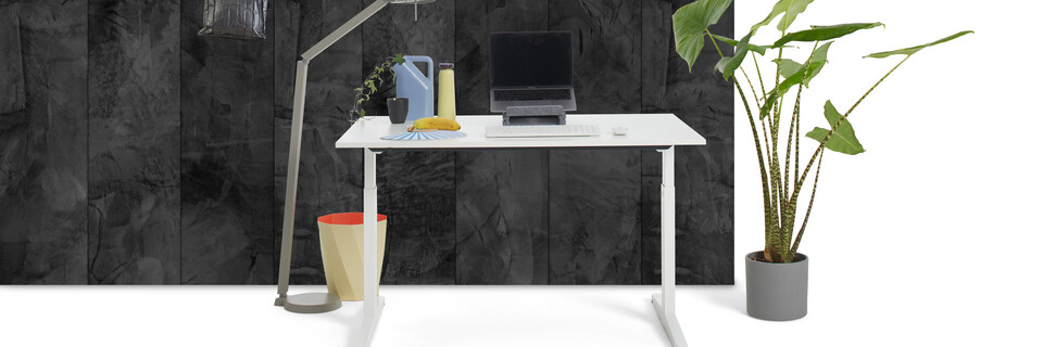 Thuiswerkbureau   landscapexl