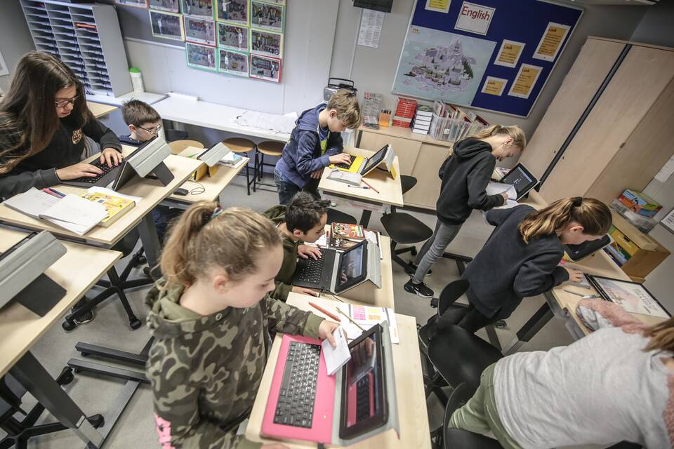 De Vlinderboom   landscapexl