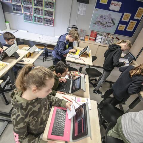 De Vlinderboom   squarexl