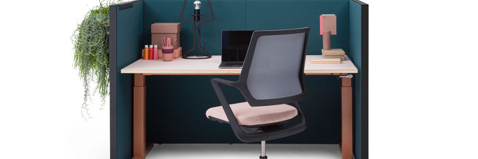 SEPP, TMNL, ZINN Multi, Outline   landscapexl