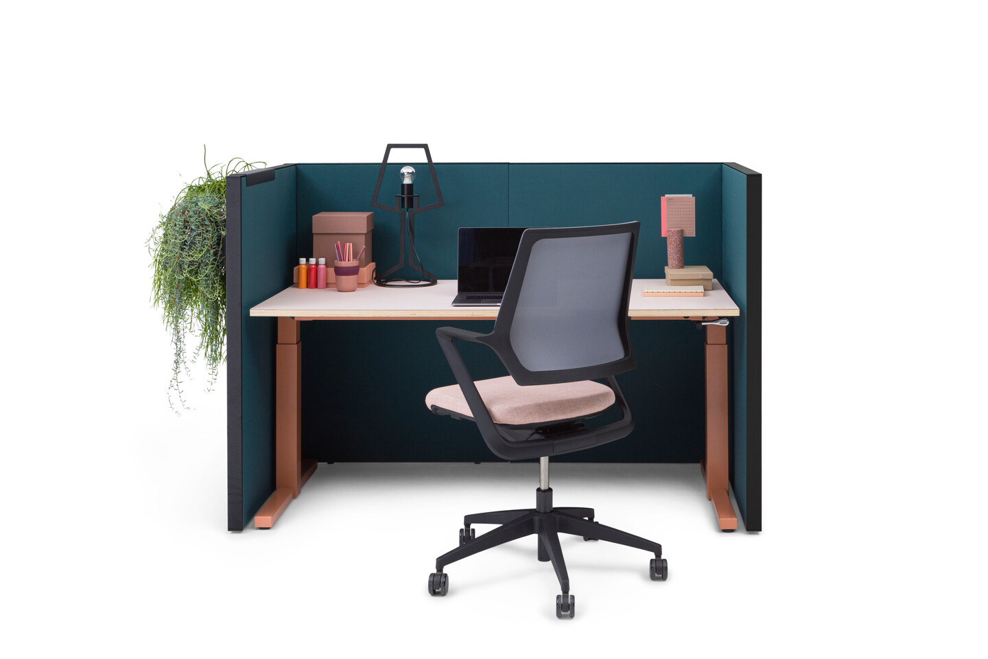 SEPP, TMNL, ZINN Multi, Outline   landscapexl