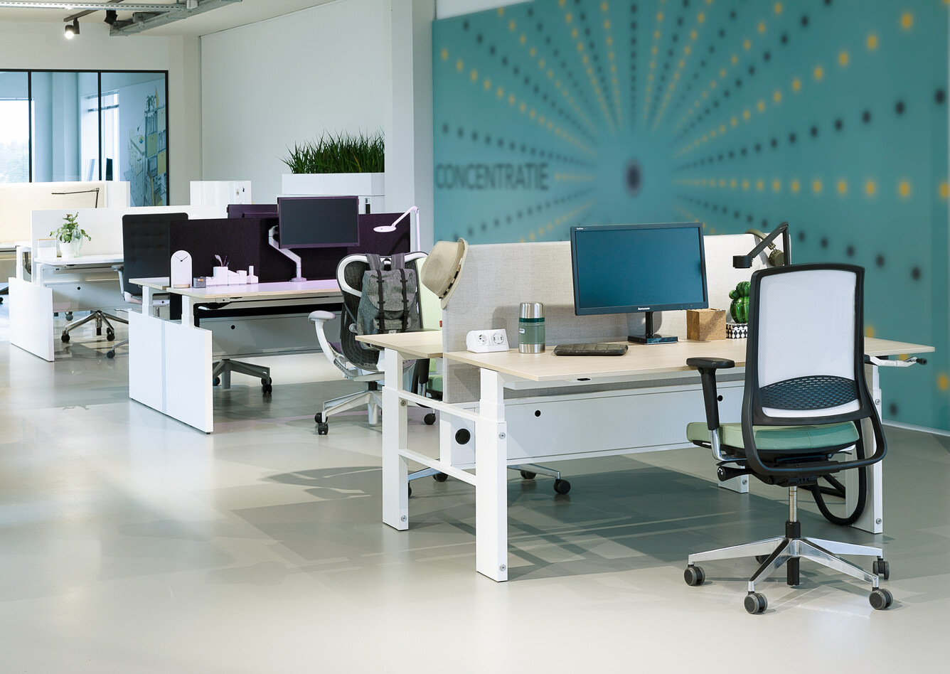 Showroom Culemborg   landscapem