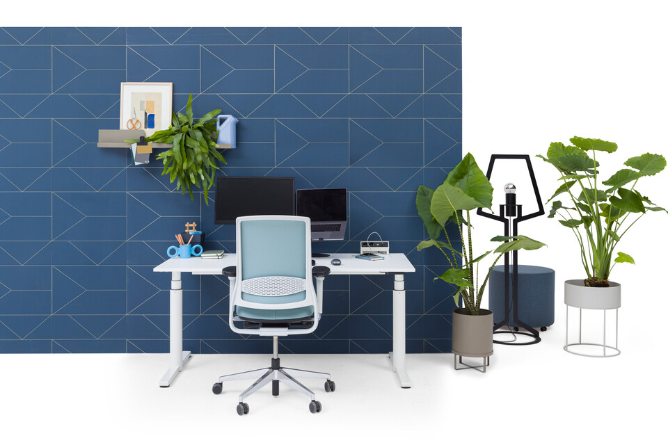 TM, ZINN, Outline, Asido, Dombo   landscapem