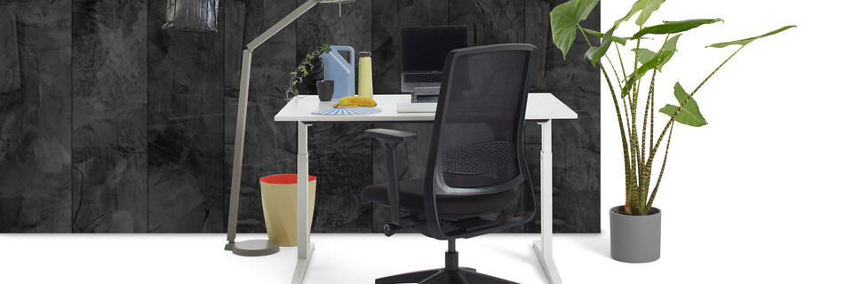 Thuiswerkbureau, ZINN Smart   headerm