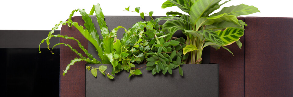 HUGG Duo couch XL   landscapexl