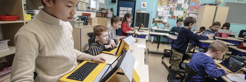 De Vlinderboom   headerxxl