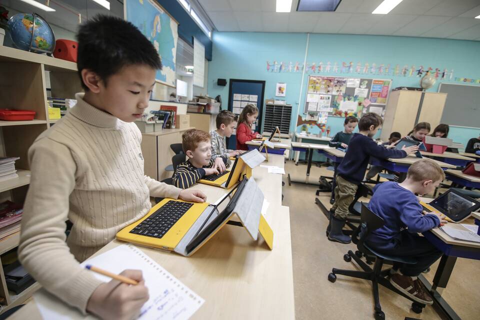 De Vlinderboom   landscapem