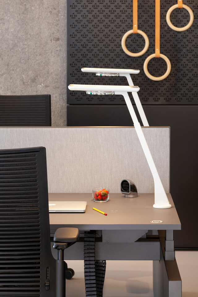 Balance, 2020 Extra Verta   portraitm