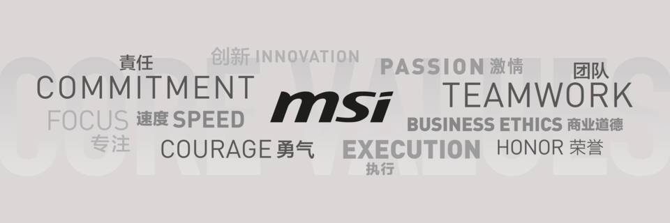 MSI Upper Banner