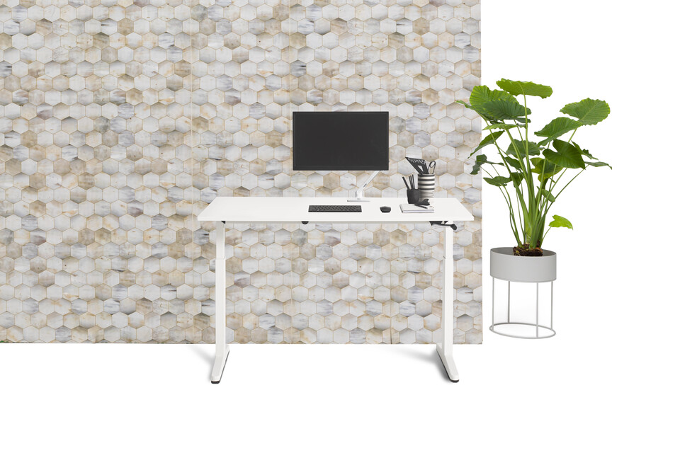 Thuiswerkbureau   landscapem