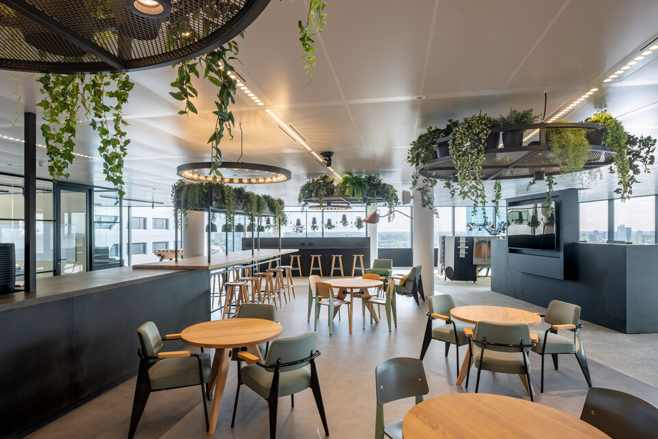 Navigant   landscapem