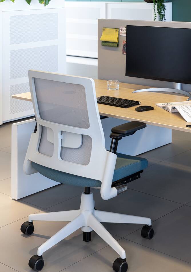 2020 Verta, Balance / Team_Up, S50   portraiti