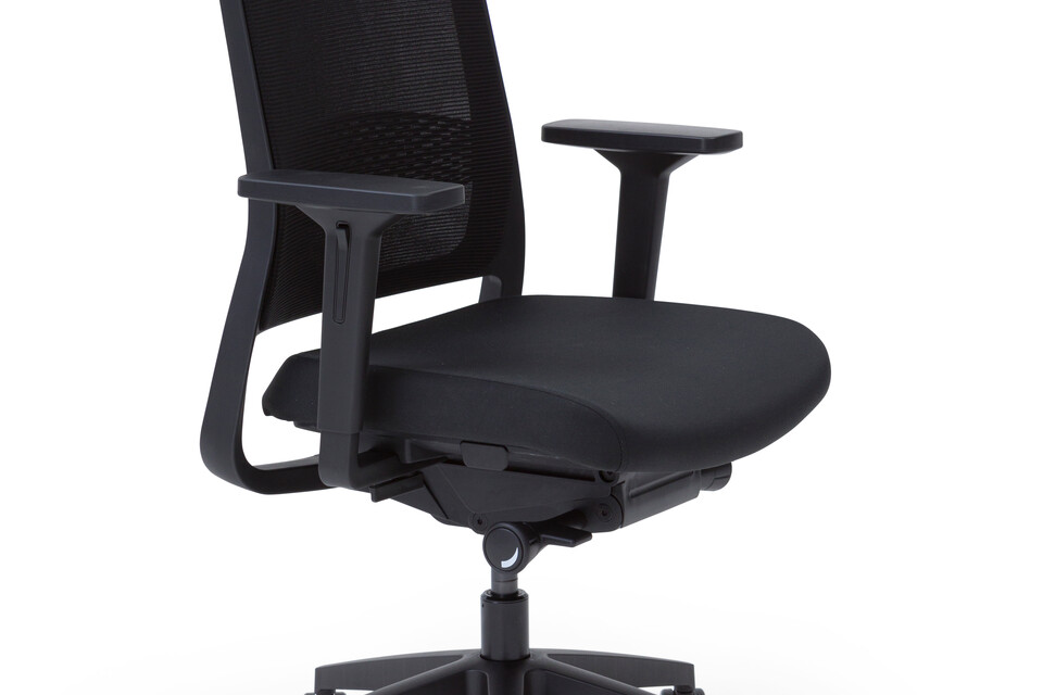 ZINN Smart ZINN Smart landscapexl