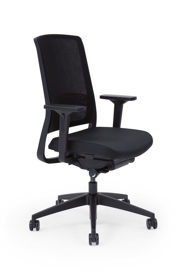 ZINN Smart   portraiti