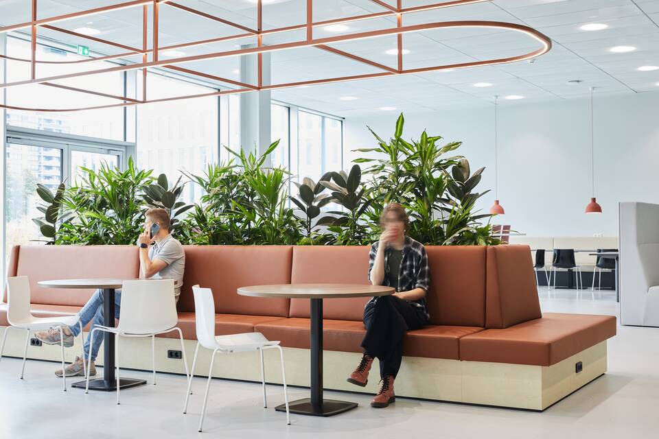 Fontys   landscapexl