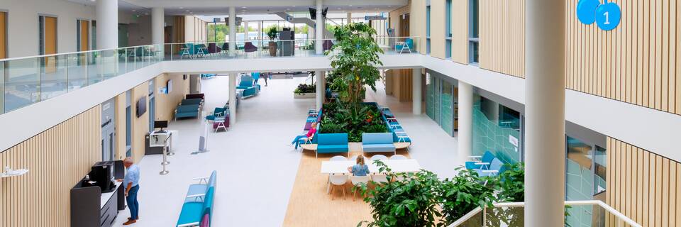 Rijnstate Elst   landscapem