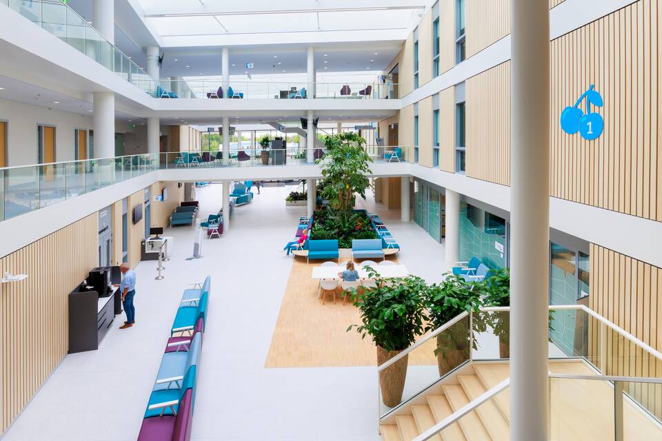 Rijnstate Elst   landscapem