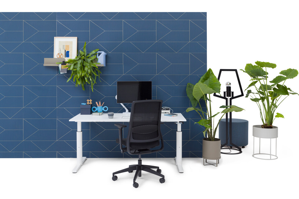 TM, ZINN Smart, Outline, Asido, Dombo   landscapem