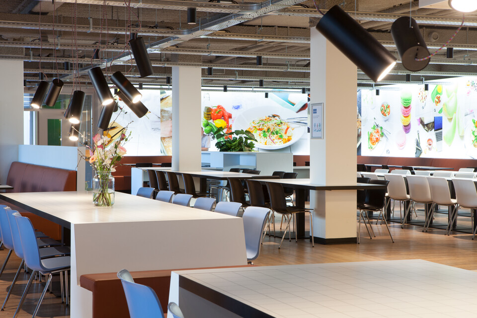 St. Antonius Ziekenhuis   landscapem