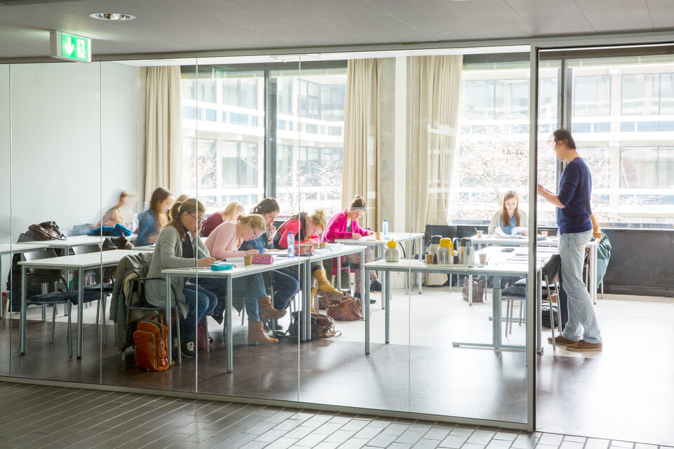 Vrije Universiteit Amsterdam   landscapem