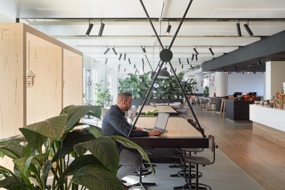 Croonwolter&dros   landscapem