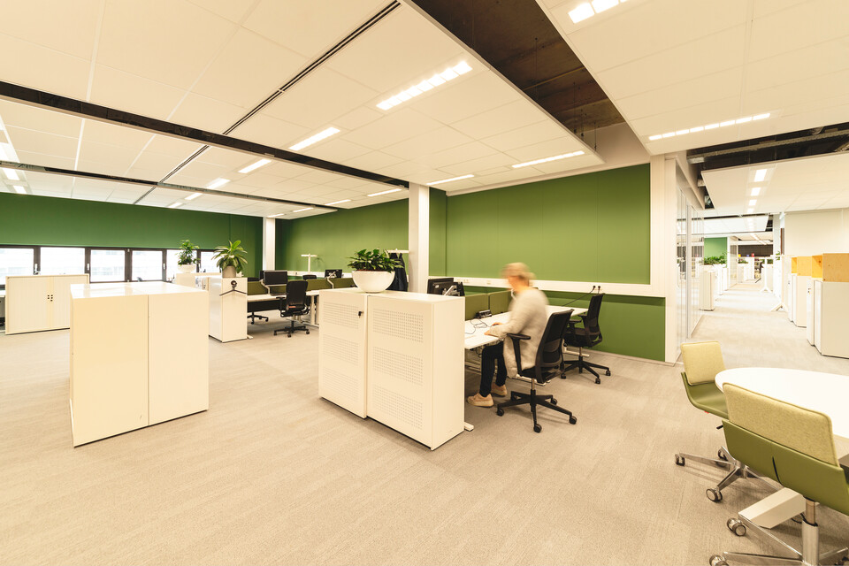 Fontys Nexus   landscapem