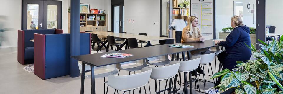 KC Muiderkring   landscapem