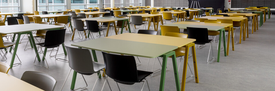 Fontys Nexus   landscapem