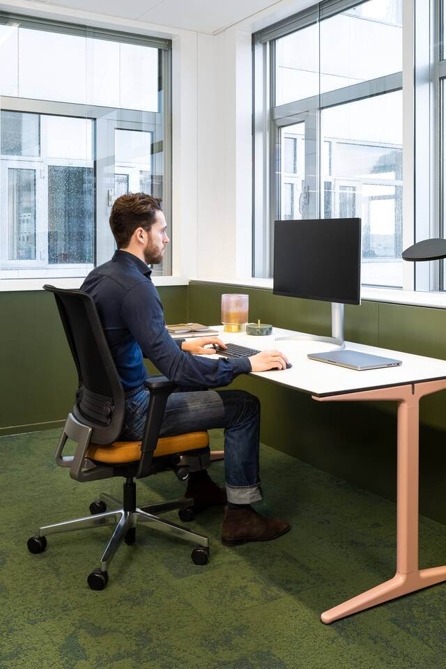 Mehes, Ease   portraitm