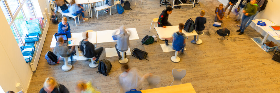 Houtkamp College   landscapem