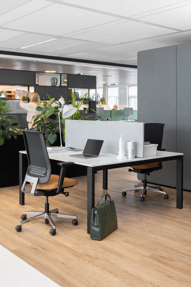 Portal, S25, Ease   portraitm