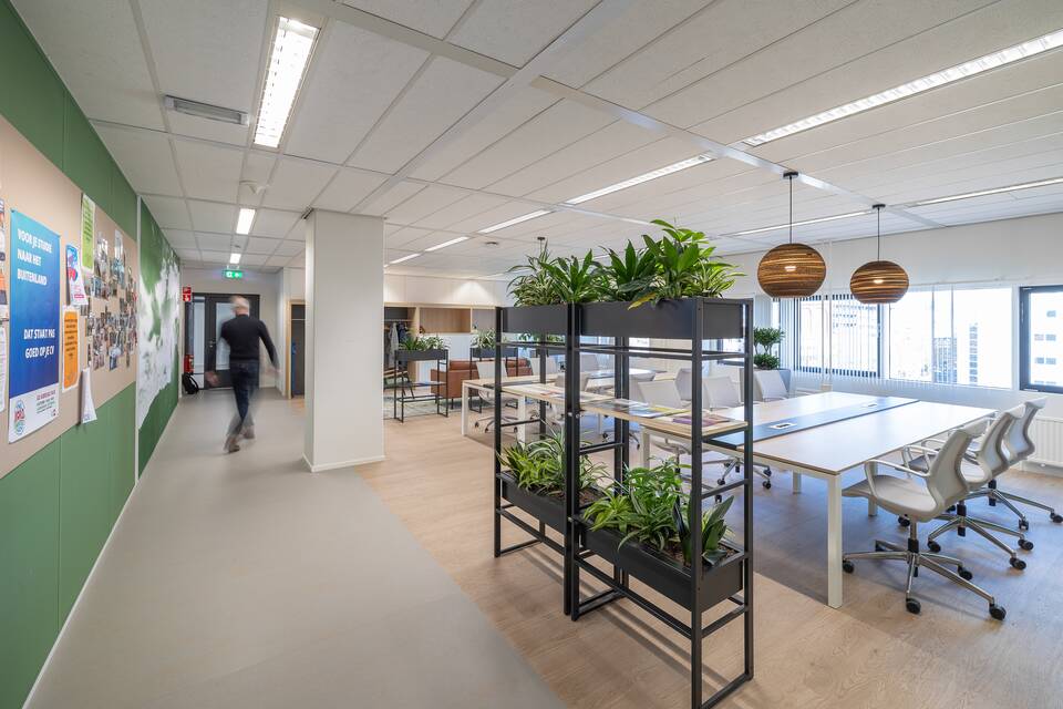 Hogeschool Rotterdam   landscapexl