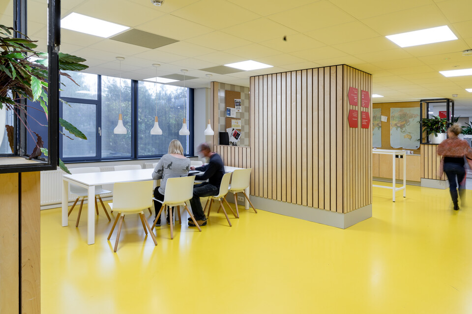 Artsen zonder Grenzen   landscapem