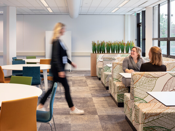 Avans Hogeschool   landscapexl